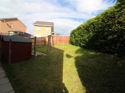 Picture 14